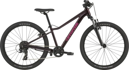 Rower młodzieżowy CANNONDALE TRAIL 24" RPP