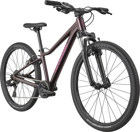 Rower młodzieżowy CANNONDALE TRAIL 24" RPP