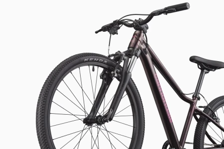 Rower młodzieżowy CANNONDALE TRAIL 24" RPP