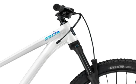 Rower WHYTE Secta R Electric white