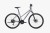 Rower Unibike Flash LDS grafit