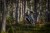 Pedały MAGPED SPORT2 PINK 200NM (Gravel, Trekking, MTB), Magnetyczne z blokami, Siła magnesu 200Nm dla rowerzystów >75kg, Różowe, Waga 458g (NEW)