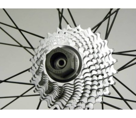 Klucz FR-11/BBT-5 do wkład.suport./kasety Campagnolo