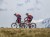 Szorty MTB Woods red devil-czarny kamuflaż, S