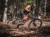 Szorty MTB Woods red devil-czarny kamuflaż, M