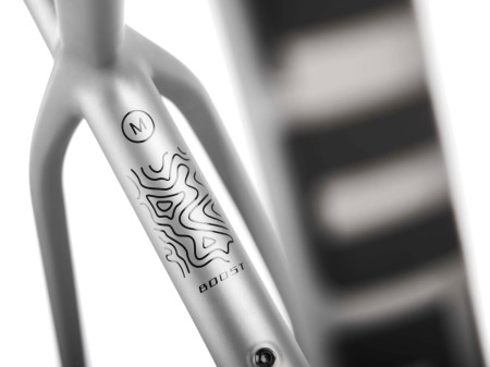 Rama MTB 29" Peak Carbon Boost XS platinum, boost 148x12mm