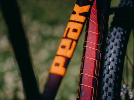 Rama MTB 29" Peak Carbon Boost L cherry orange, boost 148x12mm