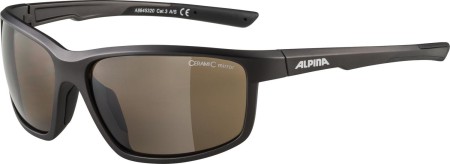 alpina-okulary-defey-kolor-tin-black-matt-szklo-br.jpg