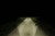 lpn-3850_p.jpg