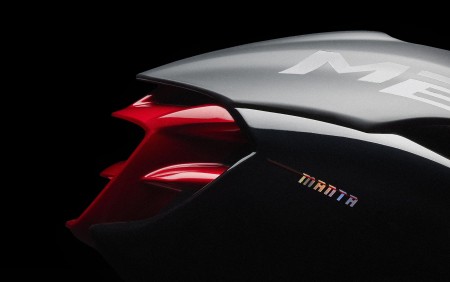 Manta MIPS