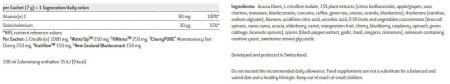 Suplement SPONSER NITROFLOW PERFORMANCE (pudełko 10 saszetek x 7g) .