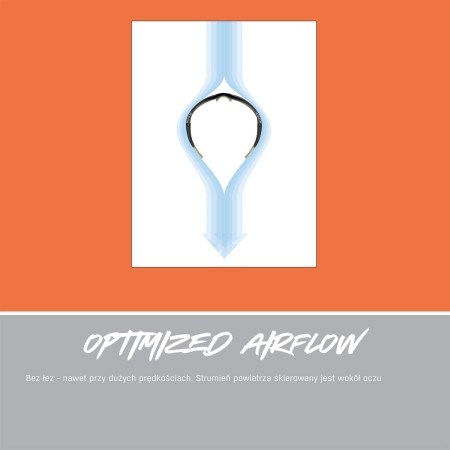 Alpina okulary defey hr kolor black szkło blue mirror cat.3 - rove.pl