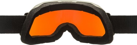 Alpina gogle blackcomb q-lite moon-grey matt szkło q-lite blue s2 new 2024 - rove.pl