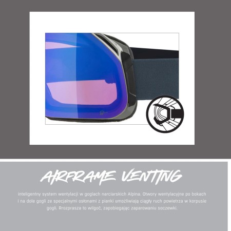Alpina gogle blackcomb q-lite moon-grey matt szkło q-lite blue s2 new 2024 - rove.pl