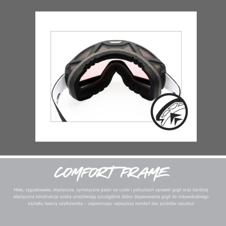 Alpina gogle blackcomb q-lite moon-grey matt szkło q-lite blue s2 new 2024 - rove.pl