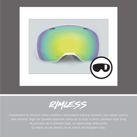 Alpina gogle blackcomb q-lite moon-grey matt szkło q-lite blue s2 new 2024 - rove.pl