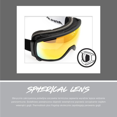 Alpina gogle blackcomb q-lite moon-grey matt szkło q-lite blue s2 new 2024 - rove.pl