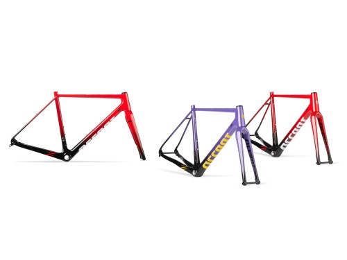 Przejdź do produktu CX-One Carbon