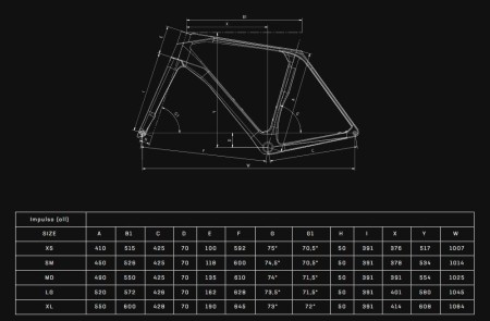 Rower Bianchi Impulso PRO geometria