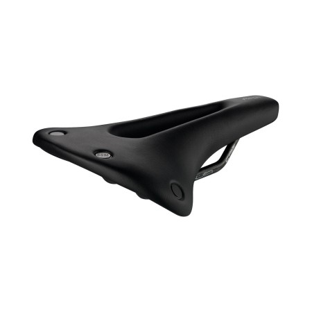 Regal Short Carbon FX