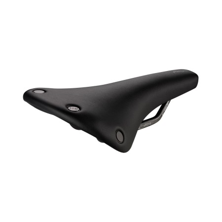 Regal Short Dynamic