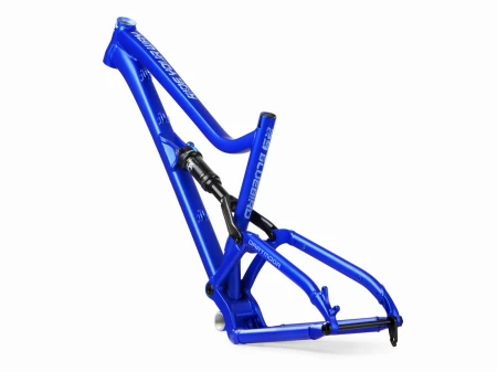 Bluebird 29
