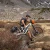spider-rack-cradles-orange-bags.webp