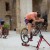 Trenażer rolkowy Feedback Sports, Omnium Zero-Drive (bez oporu)