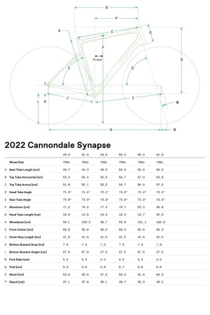 Rower męski Cannondale Synapse Carbon 4 CAS.webp