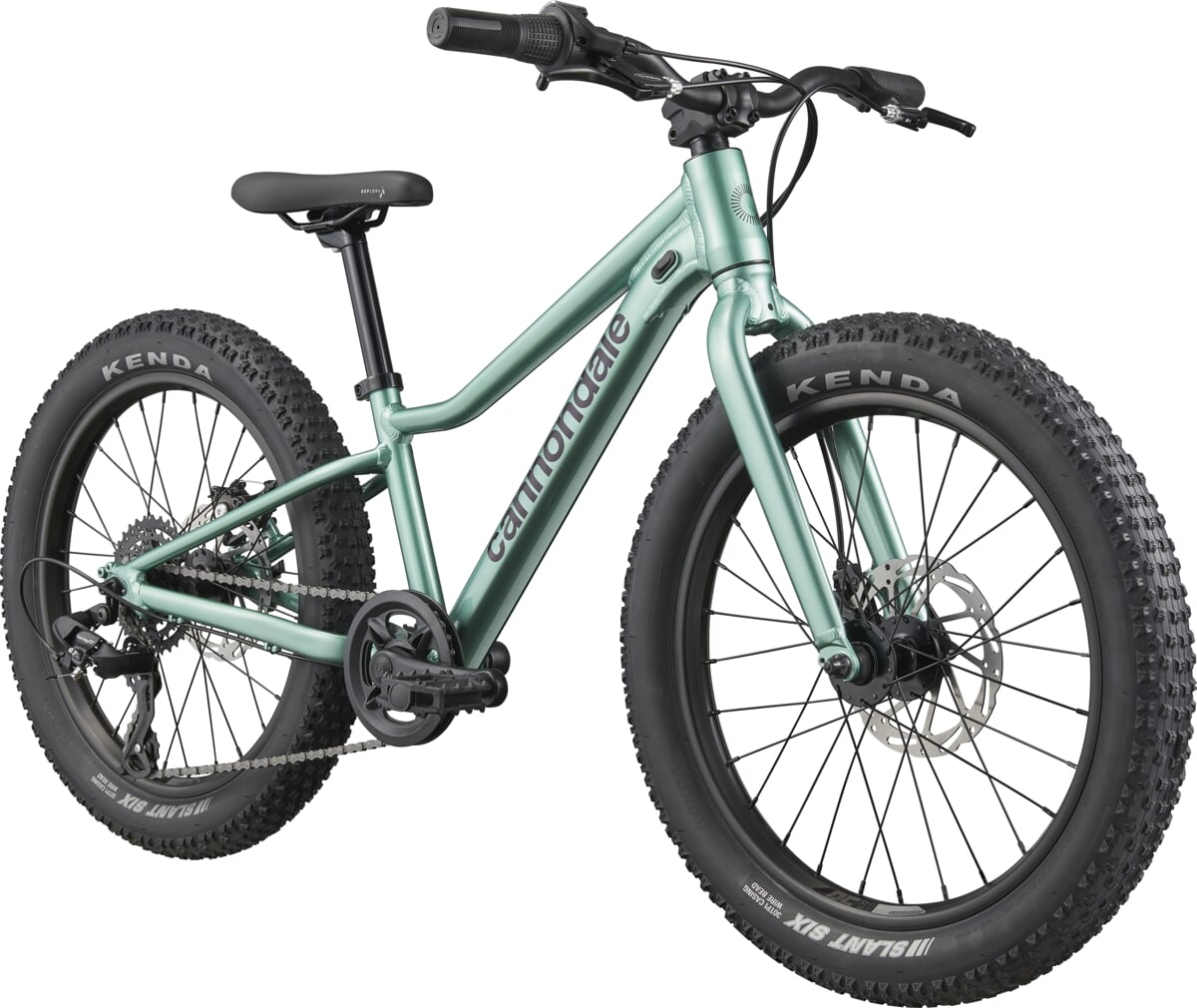 Rower dziecięcy CANNONDALE KIDS TRAIL PLUS 20" CTG