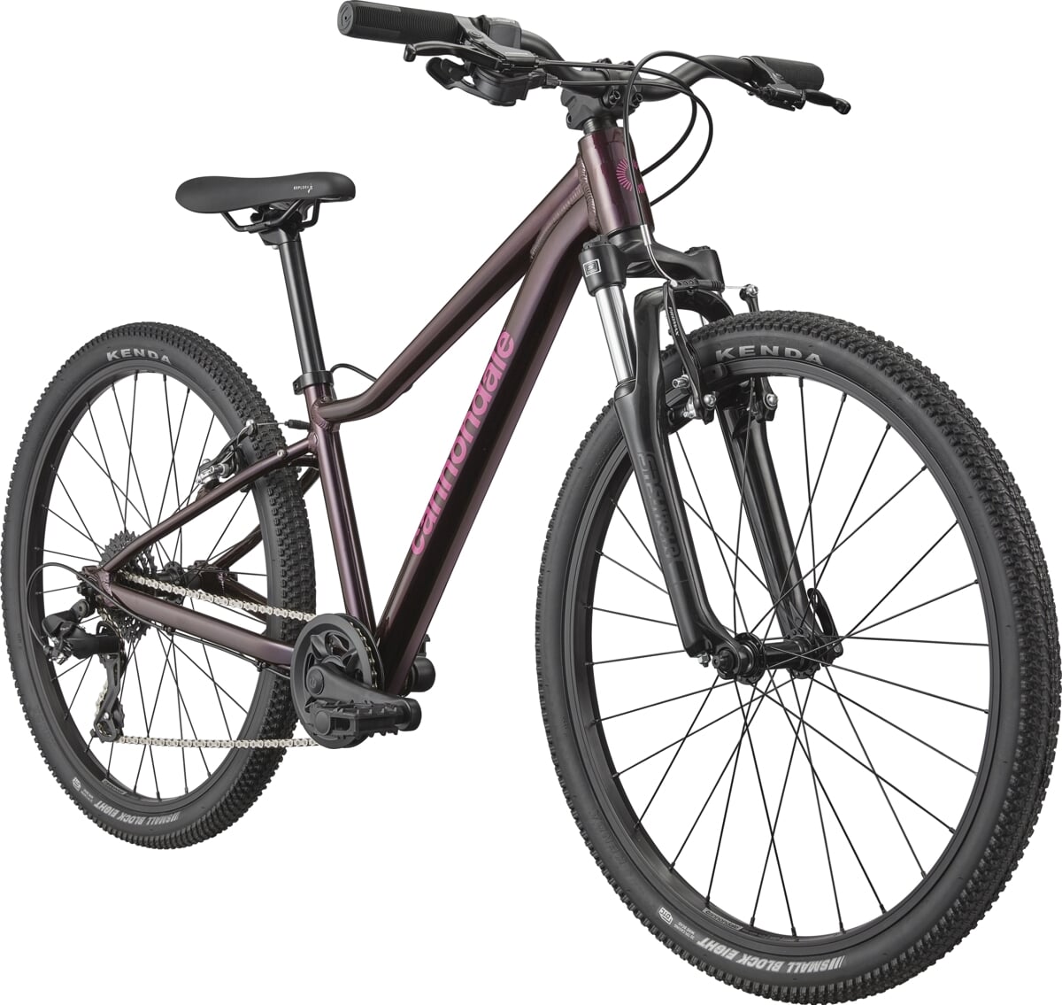 Rower młodzieżowy CANNONDALE TRAIL 24" RPP